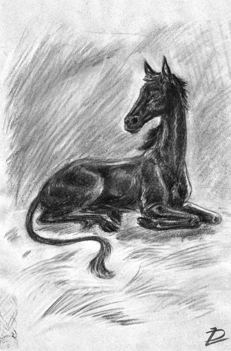 Белая ворона Белая ворона