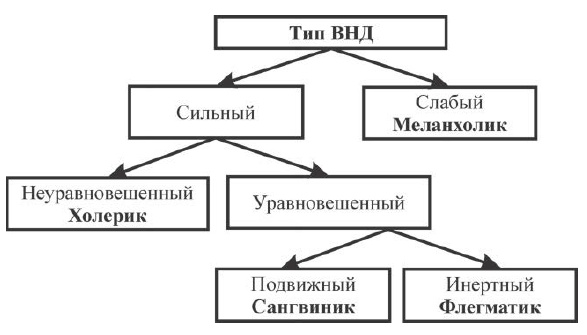 Переходим в пятый класс! Экспресс-диагностика готовности к обучению в основной школе Переходим в пятый класс! Экспресс-диагностика готовности к обучению в основной школе