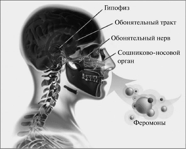 100 великих тайн медицины 100 великих тайн медицины