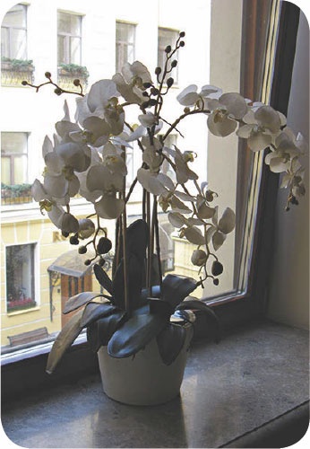 Метафорические карты. Руководство для психолога Метафорические карты. Руководство для психолога