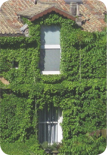 Метафорические карты. Руководство для психолога Метафорические карты. Руководство для психолога