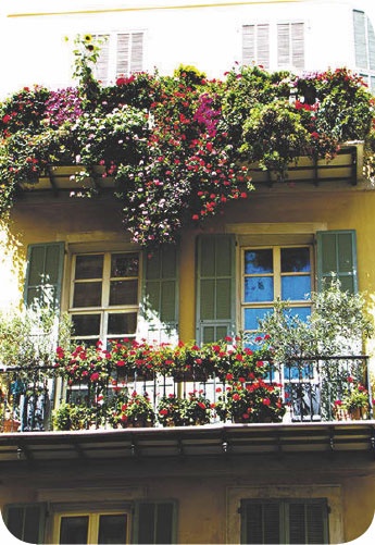 Метафорические карты. Руководство для психолога Метафорические карты. Руководство для психолога