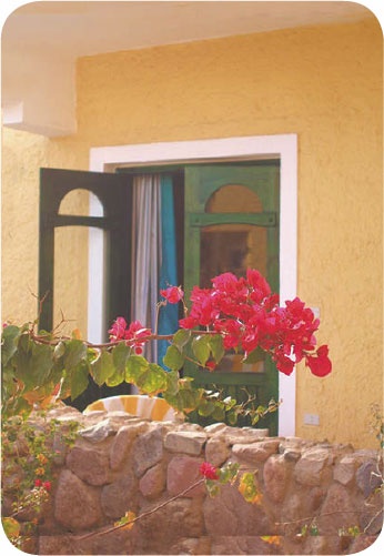 Метафорические карты. Руководство для психолога Метафорические карты. Руководство для психолога