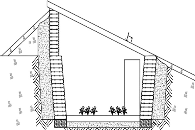 Секреты раннего урожая. Все о парниках, теплицах и подготовке семян Секреты раннего урожая. Все о парниках, теплицах и подготовке семян