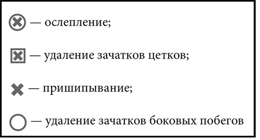 Секреты раннего урожая. Все о парниках, теплицах и подготовке семян Секреты раннего урожая. Все о парниках, теплицах и подготовке семян