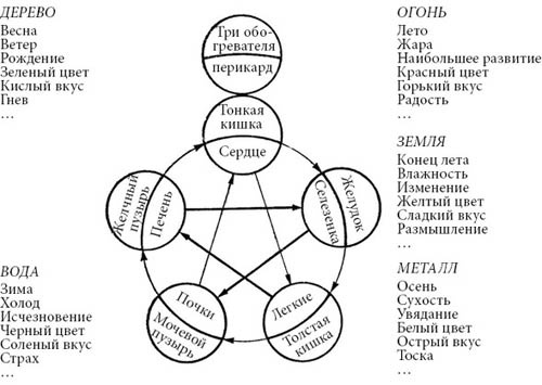 Целительные точки нашего тела Целительные точки нашего тела