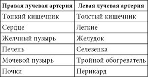 Целительные точки нашего тела Целительные точки нашего тела