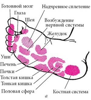 Целительные точки нашего тела Целительные точки нашего тела