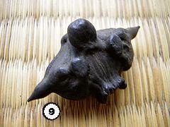 История леса. Взгляд из Германии История леса. Взгляд из Германии