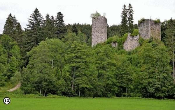 История леса. Взгляд из Германии История леса. Взгляд из Германии