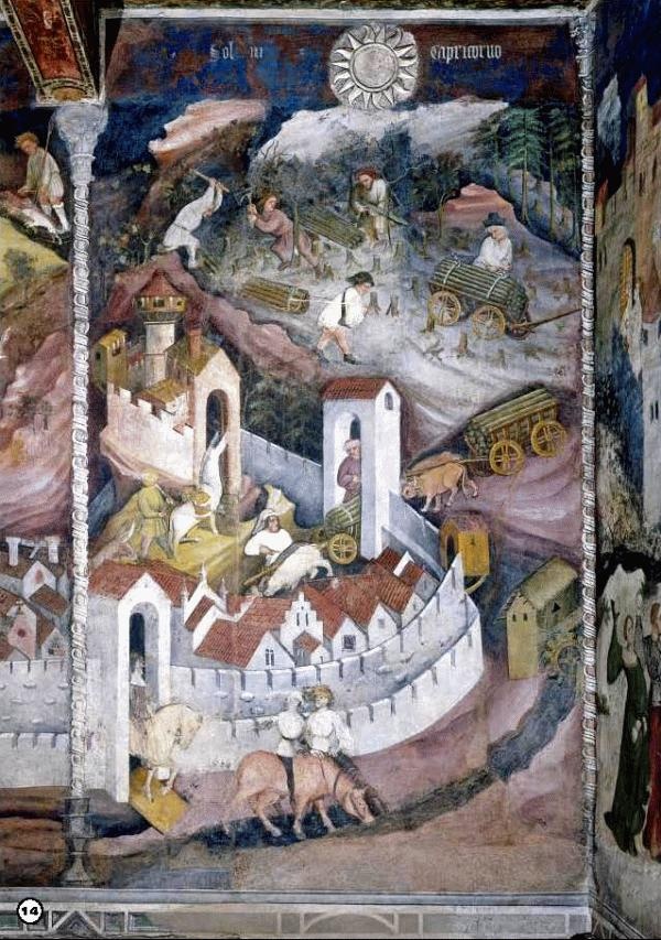 История леса. Взгляд из Германии История леса. Взгляд из Германии