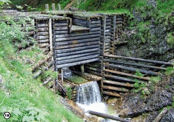 История леса. Взгляд из Германии История леса. Взгляд из Германии
