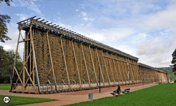 История леса. Взгляд из Германии История леса. Взгляд из Германии