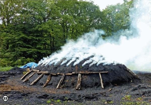 История леса. Взгляд из Германии История леса. Взгляд из Германии