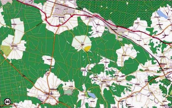 История леса. Взгляд из Германии История леса. Взгляд из Германии