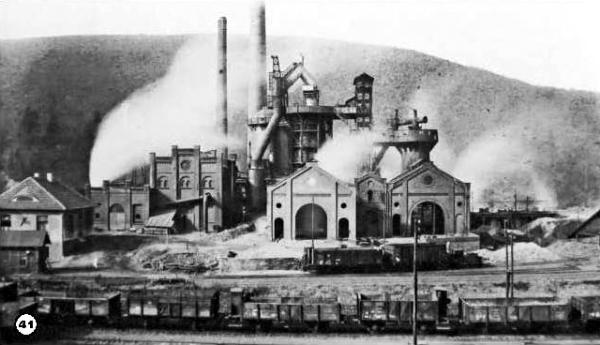 История леса. Взгляд из Германии История леса. Взгляд из Германии