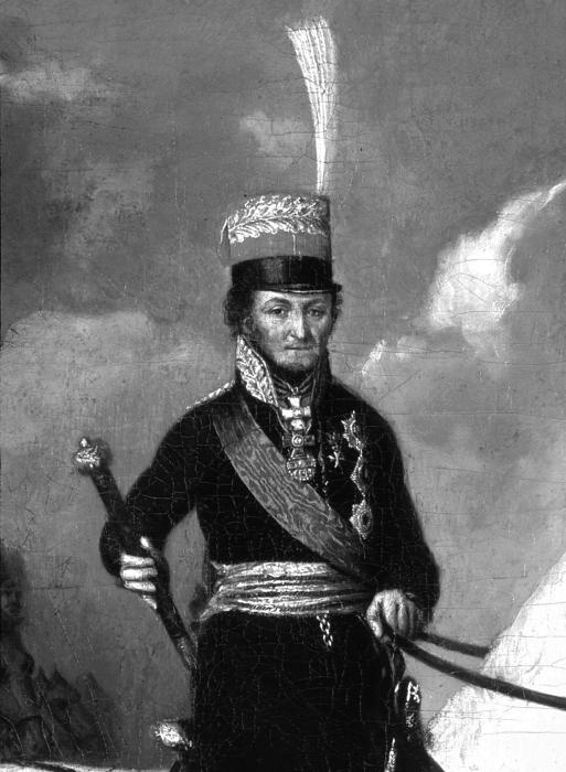 Партизанская война в 1812 году Партизанская война в 1812 году