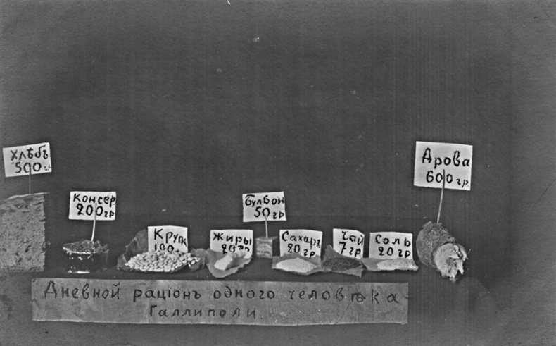 Изгнанная армия. Полвека военной эмиграции. 1920-1970 гг. Изгнанная армия. Полвека военной эмиграции. 1920-1970 гг.