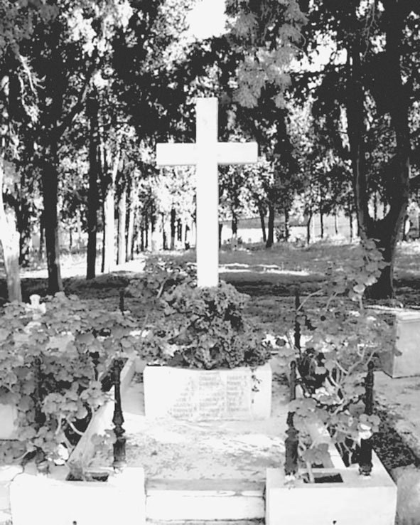 Изгнанная армия. Полвека военной эмиграции. 1920-1970 гг. Изгнанная армия. Полвека военной эмиграции. 1920-1970 гг.