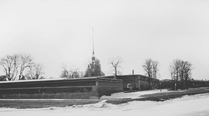 Тайные общества русских революционеров Тайные общества русских революционеров