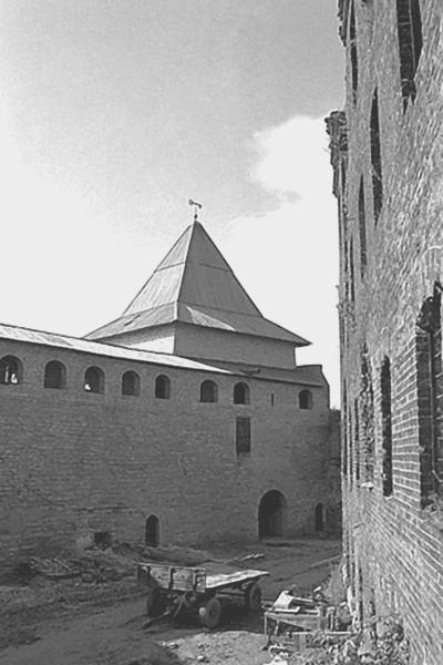 Тайные общества русских революционеров Тайные общества русских революционеров