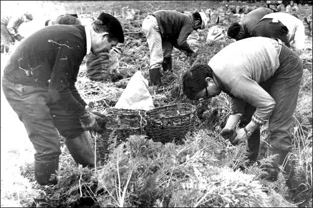 СССР при Брежневе. Правда великой эпохи СССР при Брежневе. Правда великой эпохи