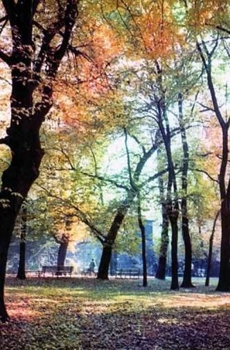 Старый Краков Старый Краков