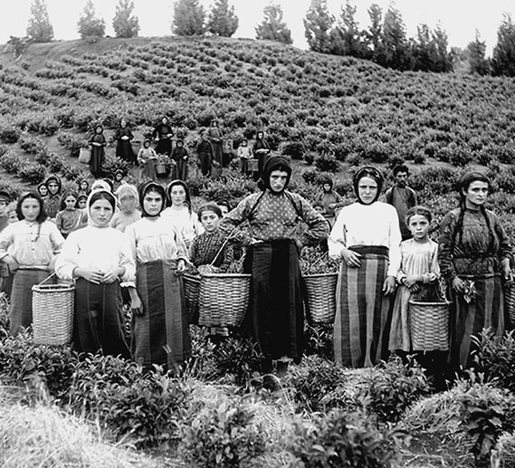 500 великих катастроф 500 великих катастроф