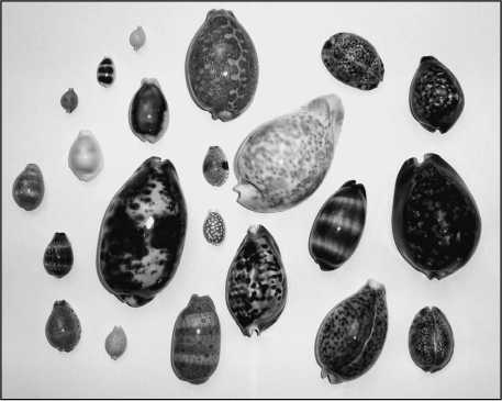 500 великих загадок истории 500 великих загадок истории