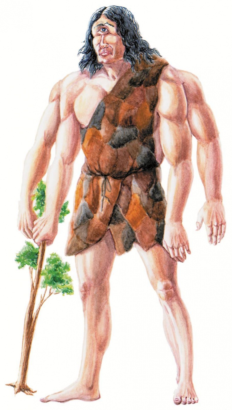 Загадочные существа