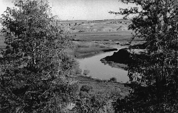 Казаки на персидском фронте (1915–1918) Казаки на персидском фронте (1915–1918)
