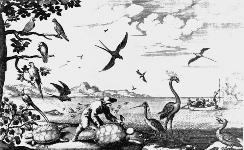 История морских разбойников История морских разбойников