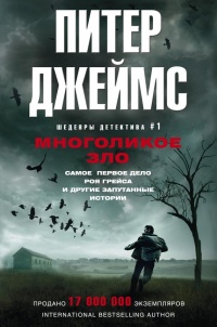Многоликое зло - Питер Джеймс - Читать книги онлайн | Слушать аудиокниги онлайн | Электронная библиотека books-lib.com