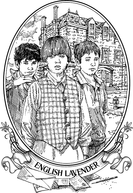 Английская лаванда Английская лаванда