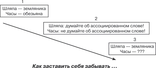 Удивительные истории о мозге, или рекорды памяти коноплянки Удивительные истории о мозге, или рекорды памяти коноплянки