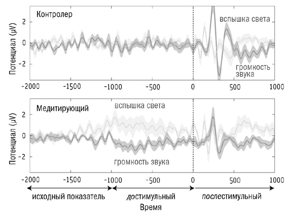 Сверхнормальное. Путь к овладению сверхвозможностями Сверхнормальное. Путь к овладению сверхвозможностями