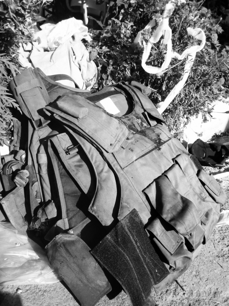Саур-Могила. Военные дневники (сборник) Саур-Могила. Военные дневники (сборник)