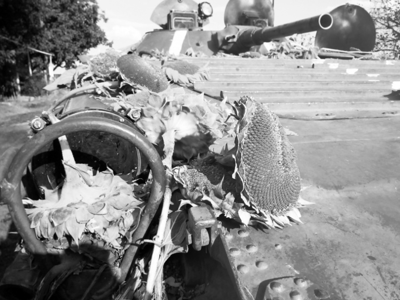 Саур-Могила. Военные дневники (сборник) Саур-Могила. Военные дневники (сборник)