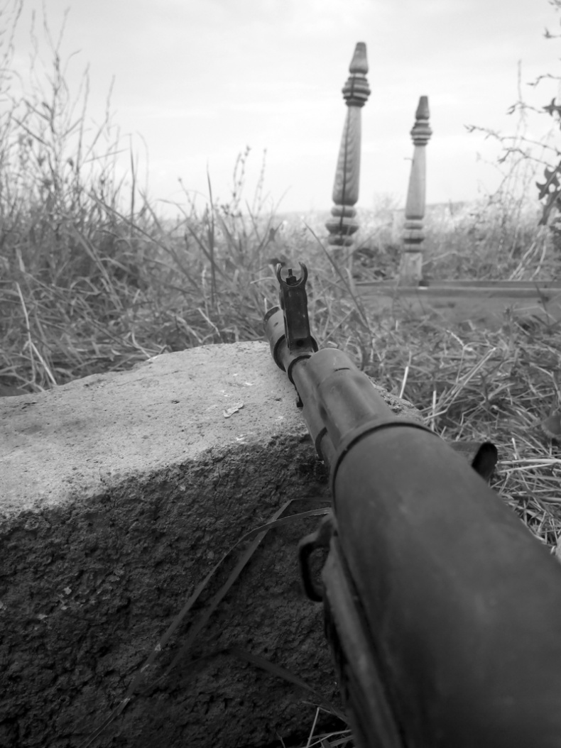 Саур-Могила. Военные дневники (сборник) Саур-Могила. Военные дневники (сборник)
