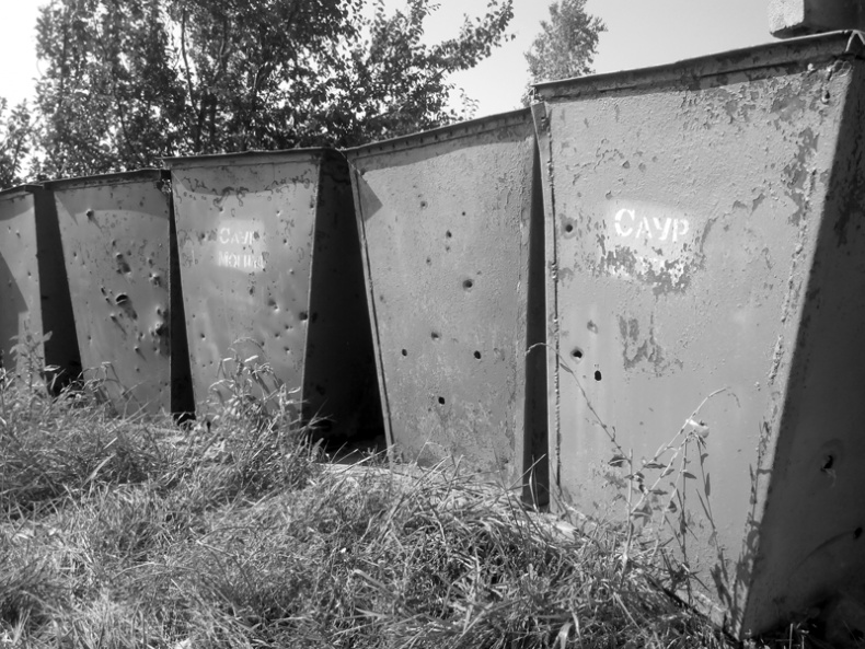 Саур-Могила. Военные дневники (сборник) Саур-Могила. Военные дневники (сборник)