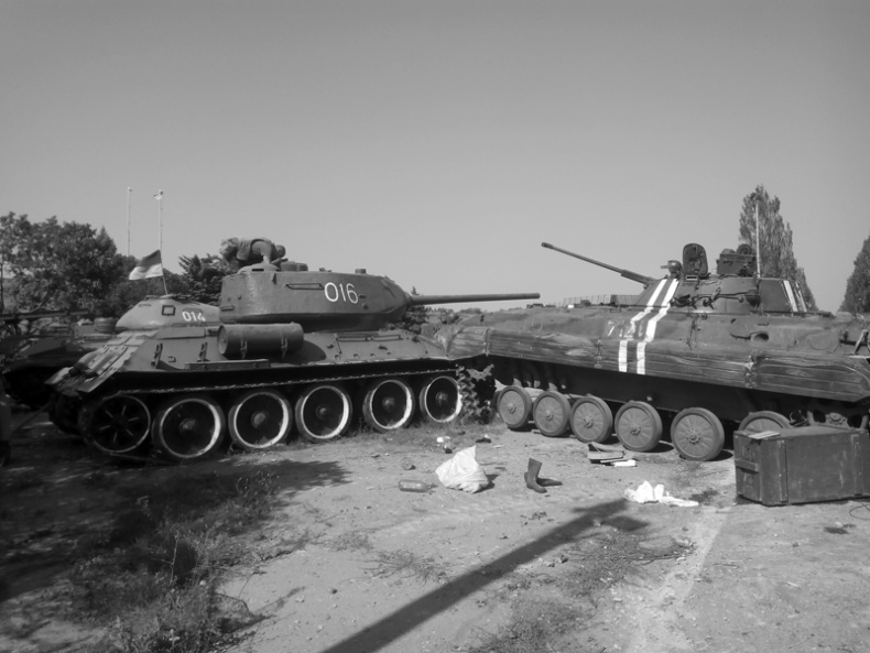 Саур-Могила. Военные дневники (сборник) Саур-Могила. Военные дневники (сборник)