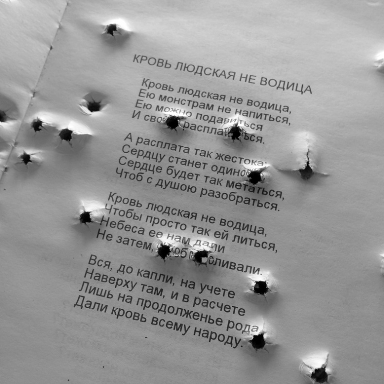 Саур-Могила. Военные дневники (сборник) Саур-Могила. Военные дневники (сборник)