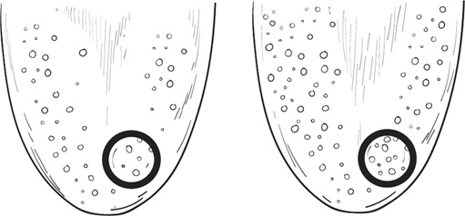 Мой лучший друг - желудок. Еда для умных людей Мой лучший друг - желудок. Еда для умных людей