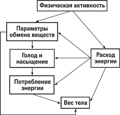Мой лучший друг - желудок. Еда для умных людей Мой лучший друг - желудок. Еда для умных людей