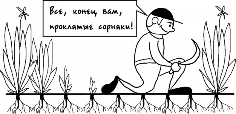 Процветание. Пять элементов счастья Процветание. Пять элементов счастья