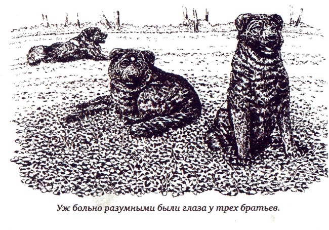 Утраченная реликвия Утраченная реликвия