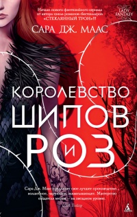 Королевство шипов и роз - Сара Маас - Читать книги онлайн | Слушать аудиокниги онлайн | Электронная библиотека books-lib.com