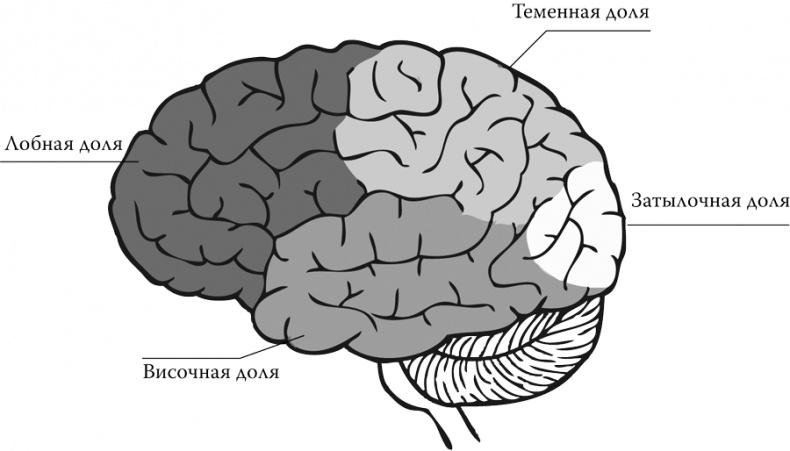 Ложная память. Почему нельзя доверять воспоминаниям Ложная память. Почему нельзя доверять воспоминаниям