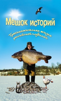 Мешок историй. Трагикомическая жизнь российской глубинки - Александр Росков - Читать книги онлайн | Слушать аудиокниги онлайн | Электронная библиотека books-lib.com