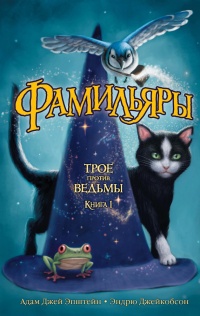 Фамильяры. Книга 1. Трое против ведьмы - Эндрю Джейкобсон - Читать книги онлайн | Слушать аудиокниги онлайн | Электронная библиотека books-lib.com